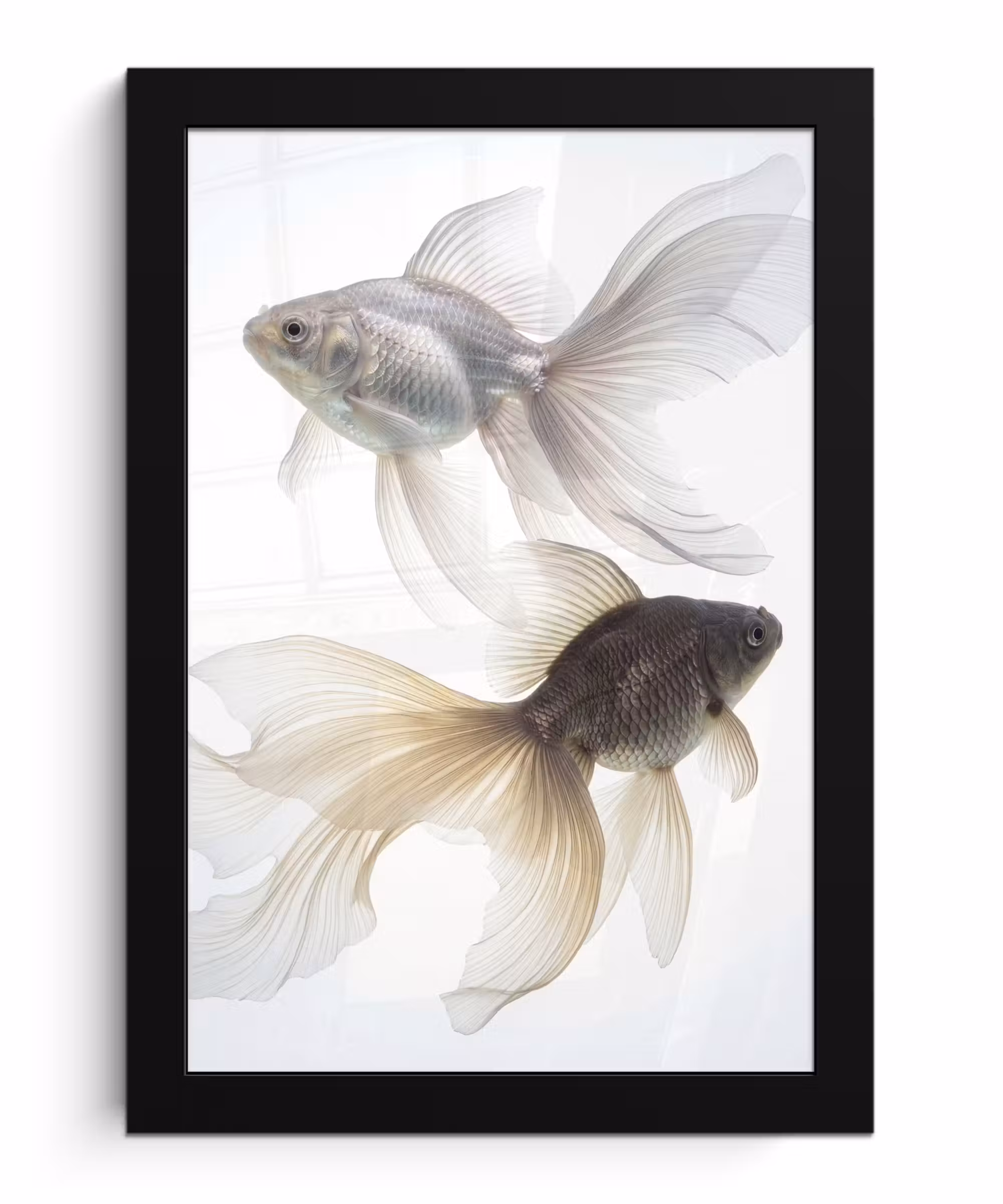 Bilder mit Rahmen - Goldfisch - Modern - Weiß