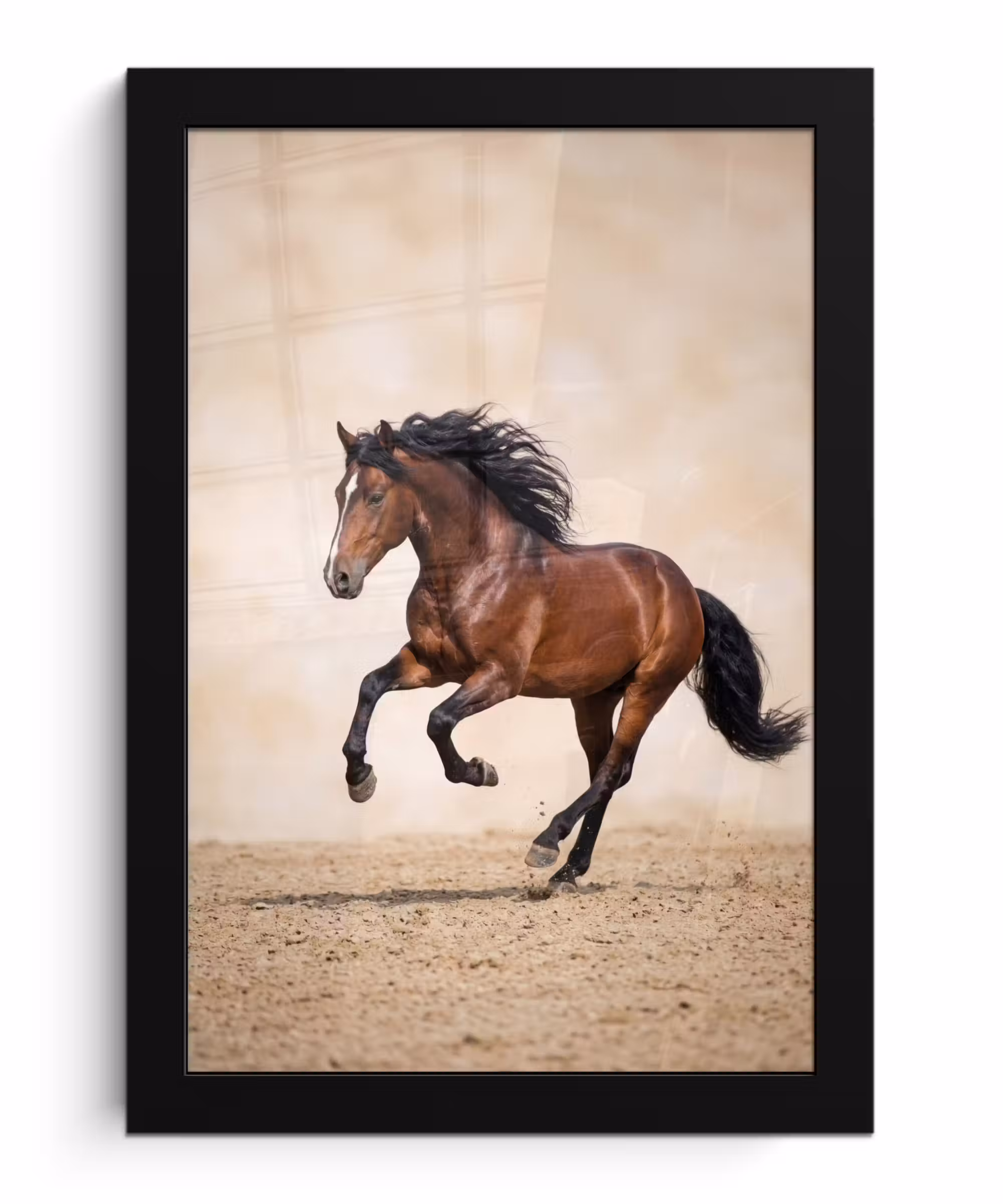 Bilder mit Rahmen - Pferd - Galopp - Energie